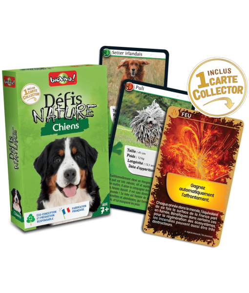 Défis Nature chiens