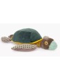 Grande tortue Tout autour du monde