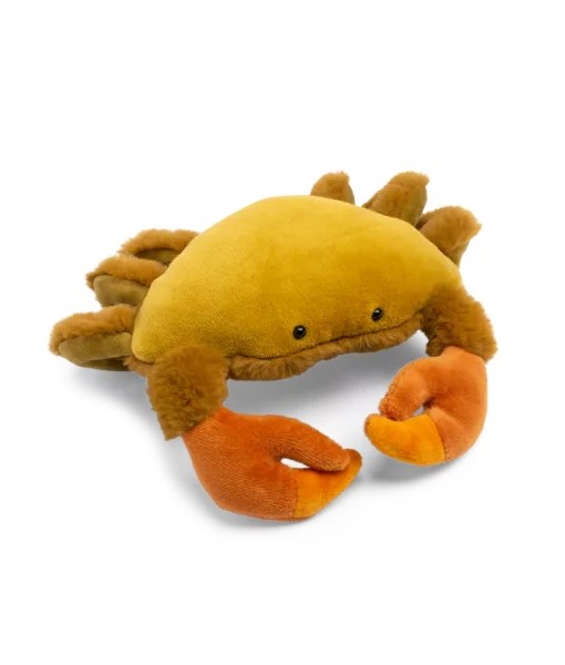 Petit crabe Tout autour du monde