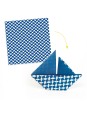 Origami Natsu