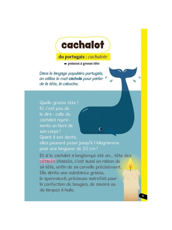 Les mots français venus d'ailleurs