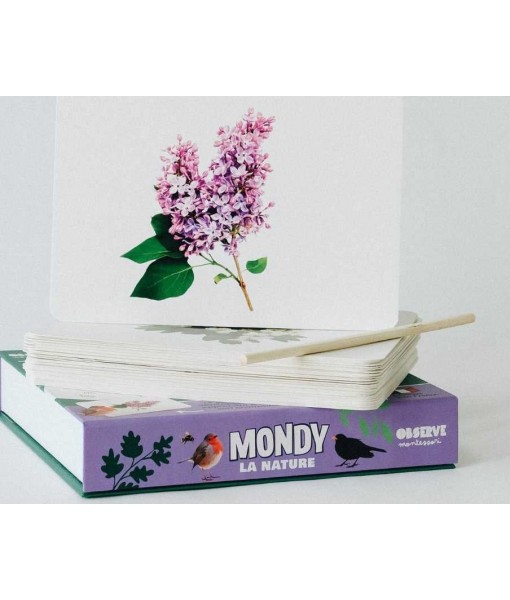 Le Mondy des p'tits curieux