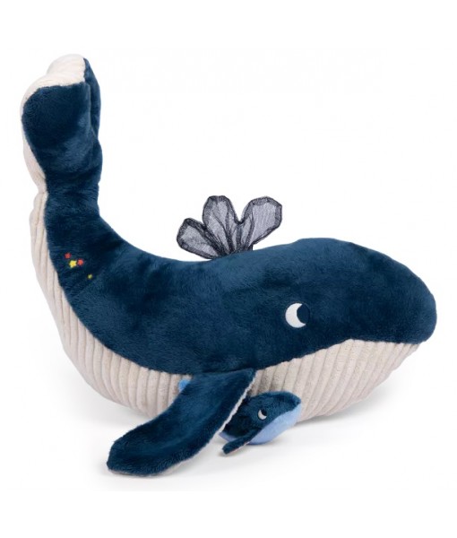 Grande baleine d'activités Les aventures de Paulie