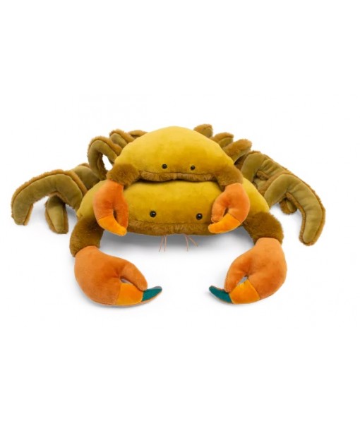 Grand crabe Tout autour du monde