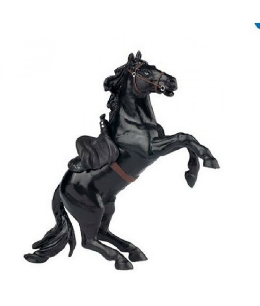 Cheval de Zorro