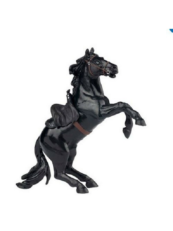 Cheval de Zorro