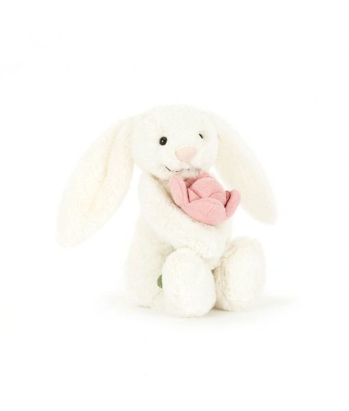 Bashful bunny peony small