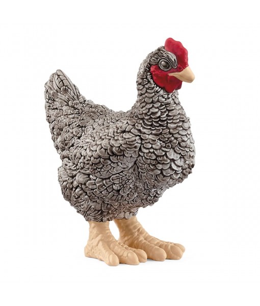 Farm world - Poule Plymouth rock