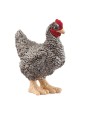 Farm world - Poule Plymouth rock