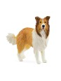 Farm world - Chien colley
