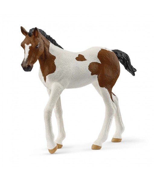 Horse club - Poulain paint horse