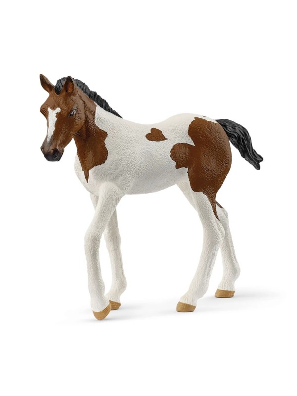 Horse club - Poulain paint horse