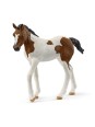 Horse club - Poulain paint horse