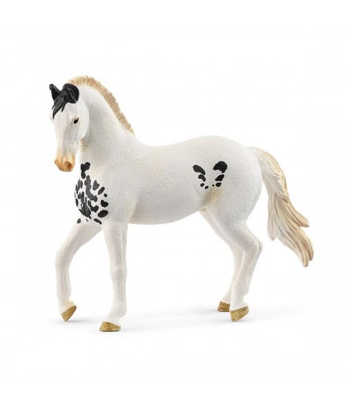 Horse club - Etalon marwari
