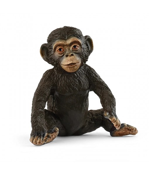 Wild life - Bébé chimpanzé