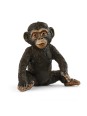 Wild life - Bébé chimpanzé
