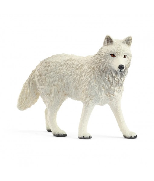 Wild life - Loup arctique