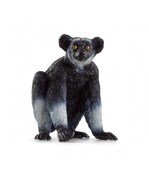 Wild life - Lémurien indri