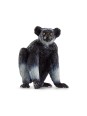Wild life - Lémurien indri