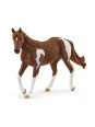Horse club - Jument paint horse