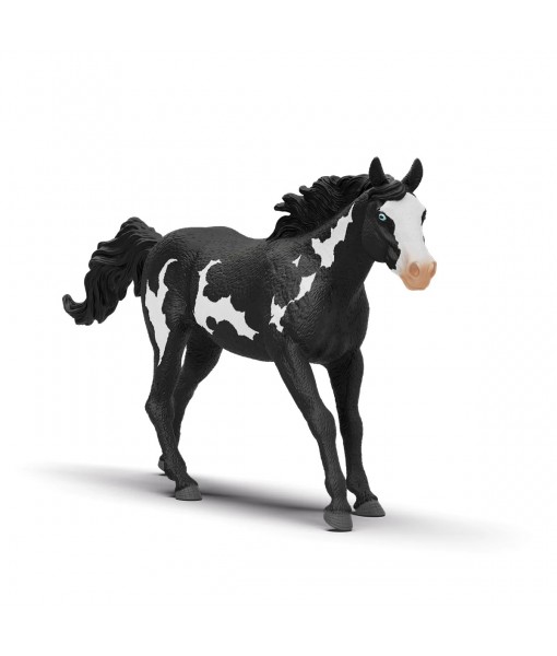 Horse club - Hongre paint horse
