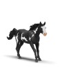 Horse club - Hongre paint horse