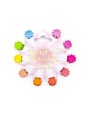 Mini barrettes fleur (x 10)