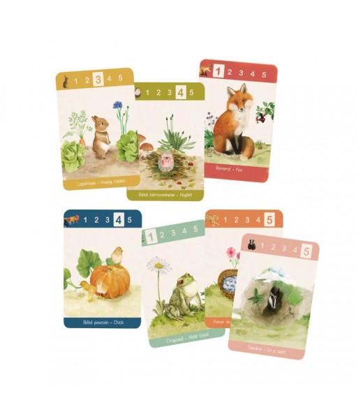 Jeu de 7 familles Le jardin du moulin