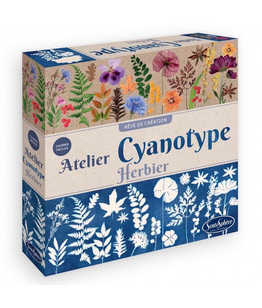 Atelier cyanotype - Herbier