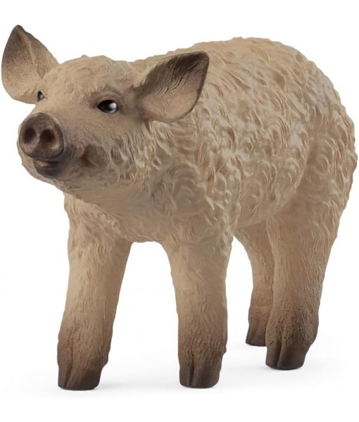 Farm world - Porcelet mangalica