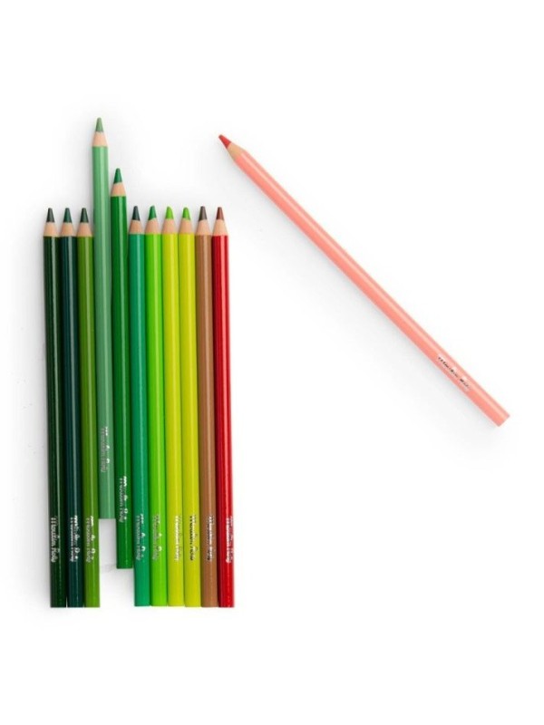 12 crayons de couleur Nature et cartes Le botaniste