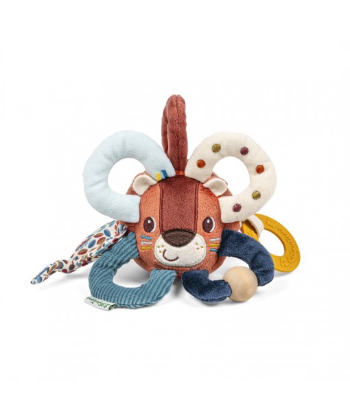Jack le lion anneaux multi-activités