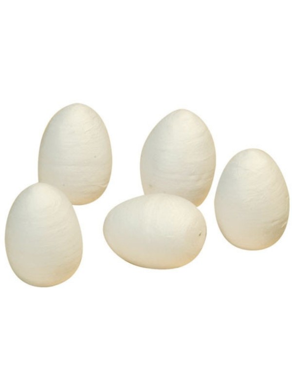 Sachet de 10 œufs cellulose