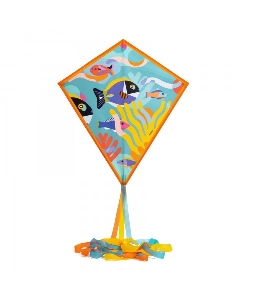 Cerf-volant Ocean