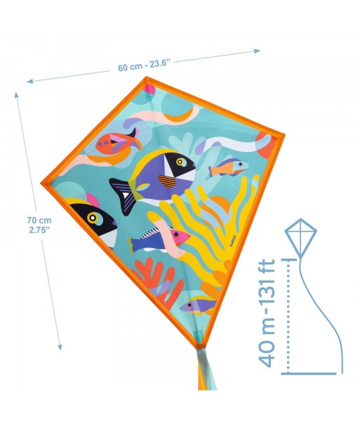Cerf-volant Ocean
