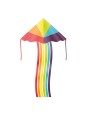 Cerf volant arc-en-ciel