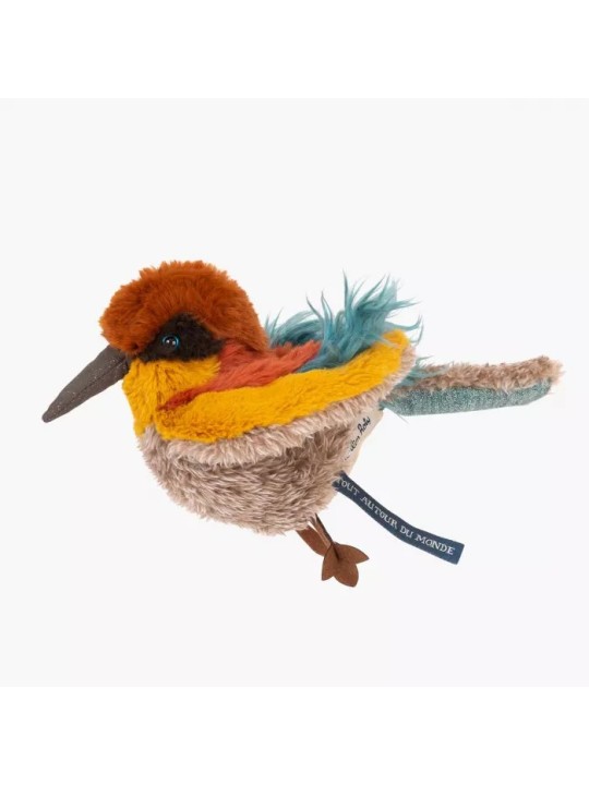 Oiseau guêpier Tout autour du monde
