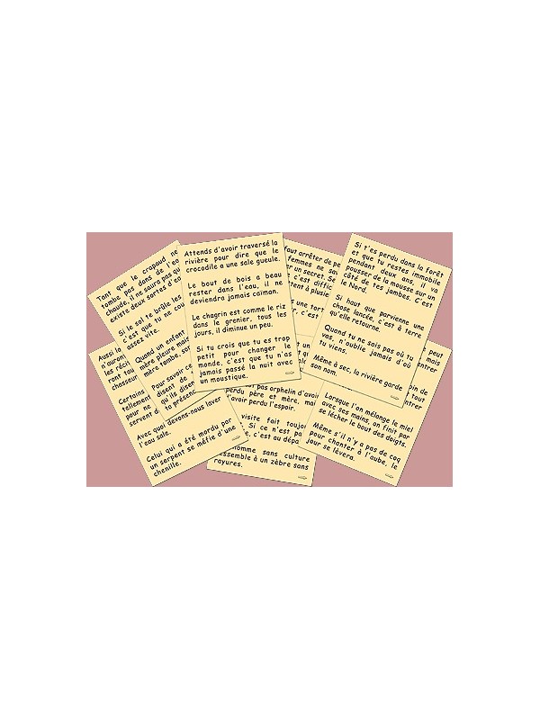 200 proverbes africains