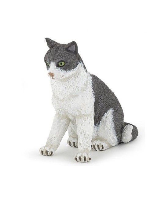 Chatte assise