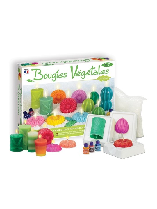 DIY bougies végétales