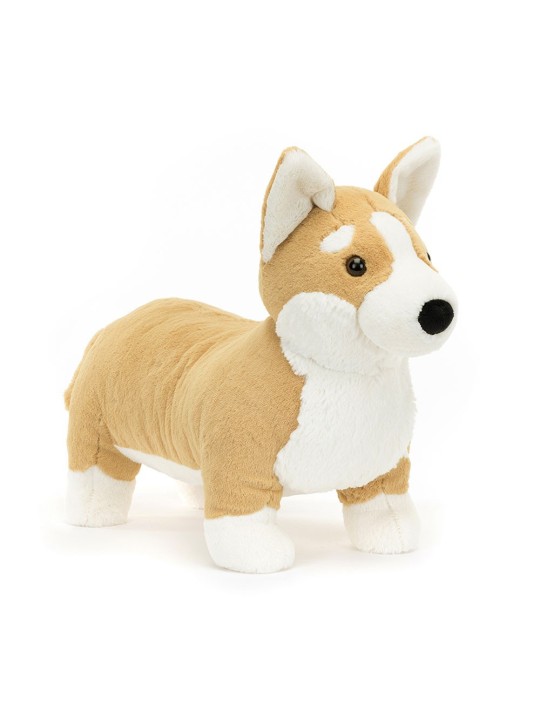 Betty corgi big