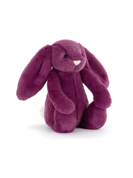 Bashful allium bunny little