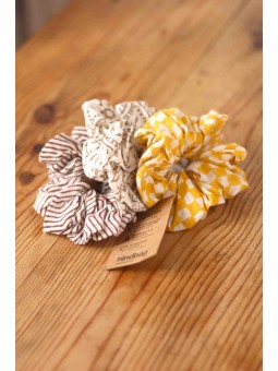 Chouchous Udaipur (x3)