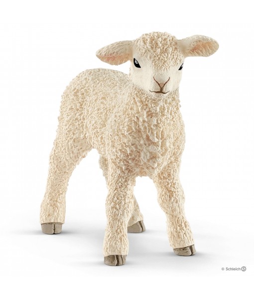 Farm world - Agneau