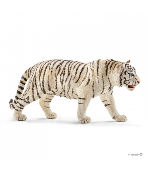 Wild life - Tigre blanc mâle