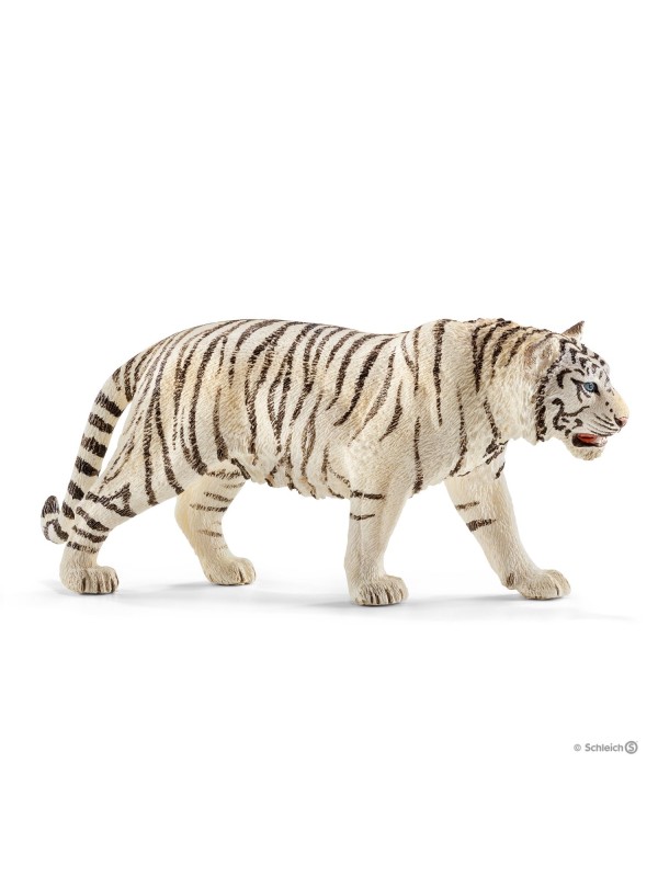 Wild life - Tigre blanc mâle