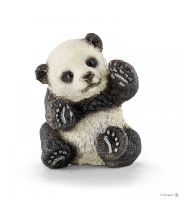 Wild life - Bébé panda jouant