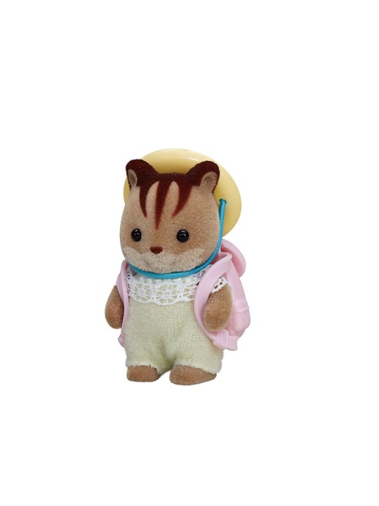 Bébé écureuil roux
