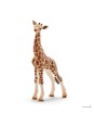 Wild life - Bébé girafe