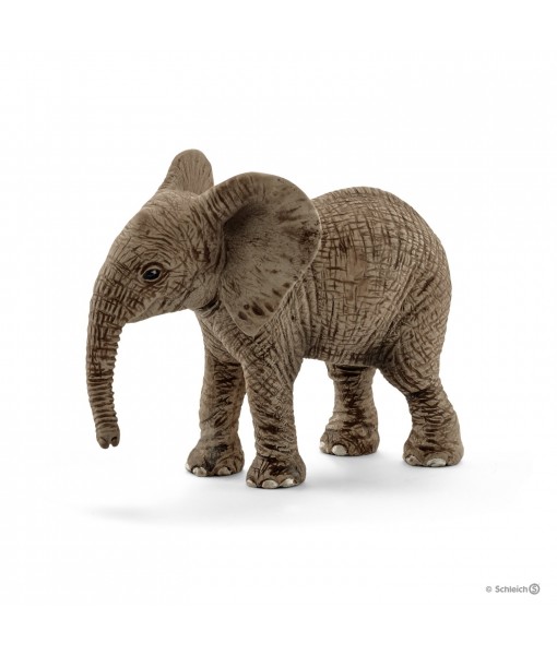 Wild life - Éléphanteau d'Afrique